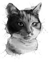 Schattige kat karikatuur portret van foto's in zwart-wit aquarelstijl