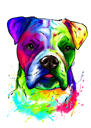 Boxer pes kreslený karikatura kresba ve stylu akvarelu z fotografií