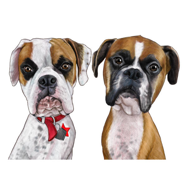 Couple de caricatures colorées de bouledogues