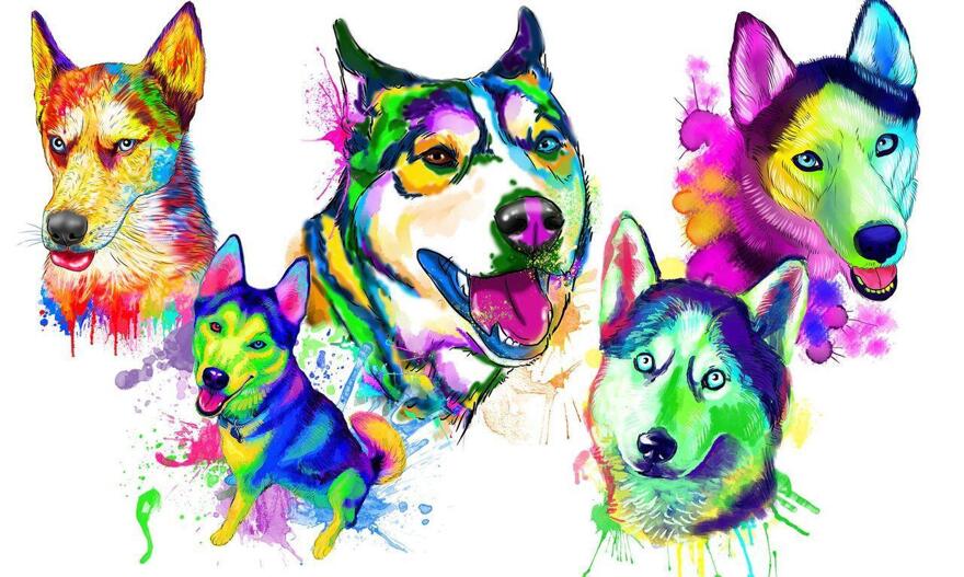 Husky Caricature