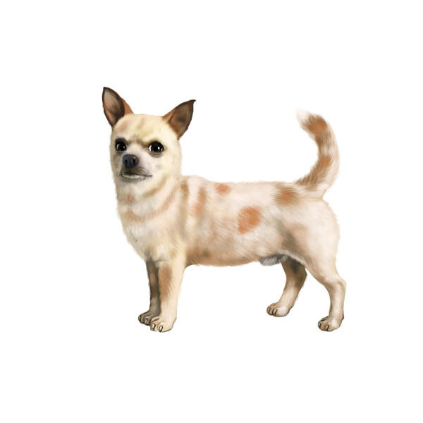 Hela kroppen Chihuahua karikatyr porträtt i färgad stil från foton