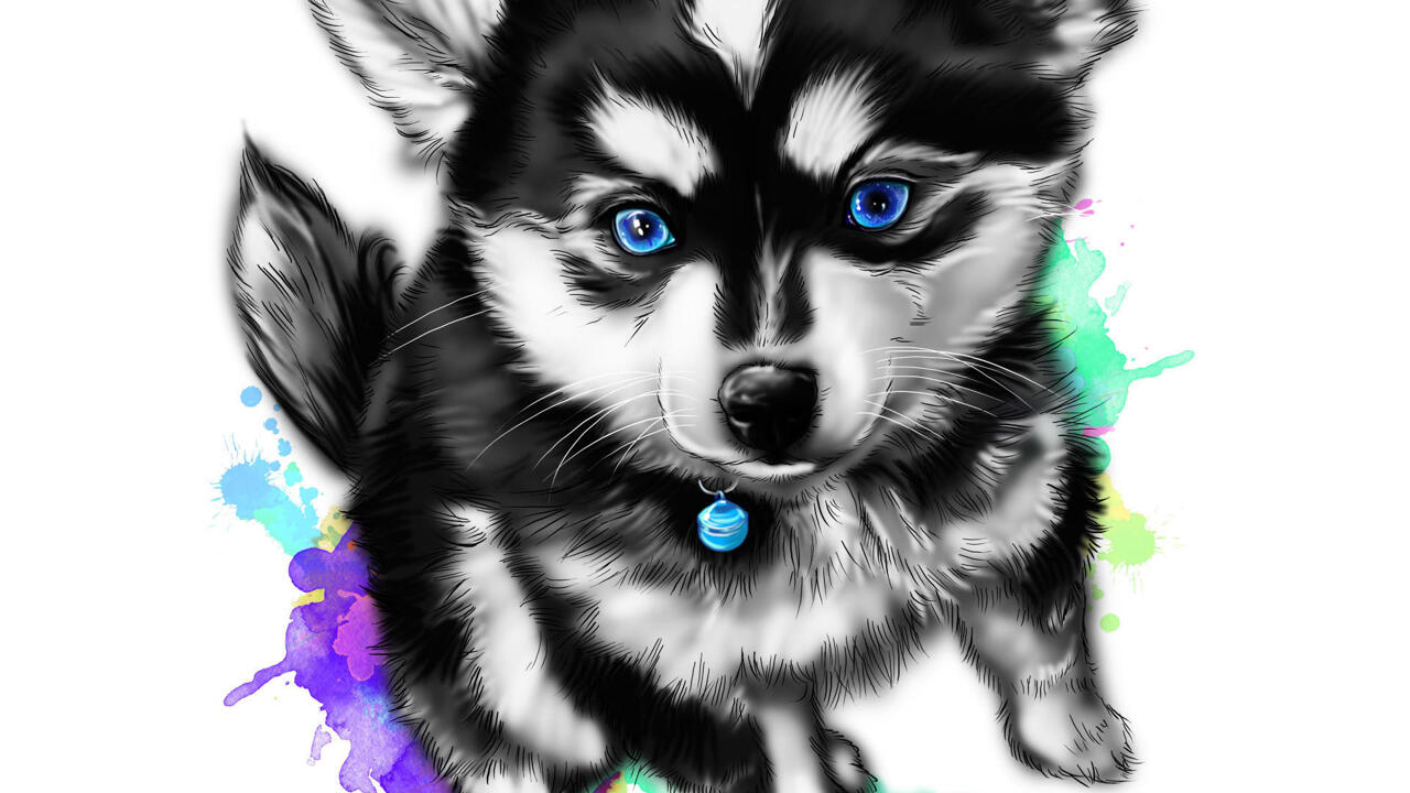 Dessin de chiot Husky mignon