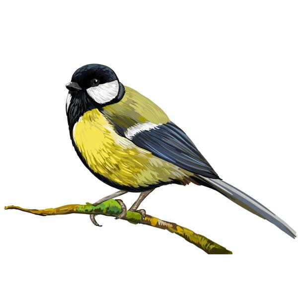 Portrait de caricature d'oiseau passereau dans un style de couleur à partir de photos