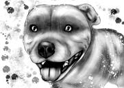 Grafitový portrét psa stafordšírského teriéra z fotografií