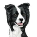 Border Collie karikatur