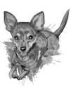 Fuld krop sort og hvid Chihuahua grafitportræt fra fotos