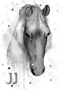 Aquarel grafiet paardenportret van foto's