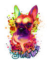 Full Body Rainbow Akvarell Fransk Bulldog Porträtt från Photos