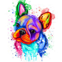 Rainbow Watercolor French Bulldog Portrait from Photos