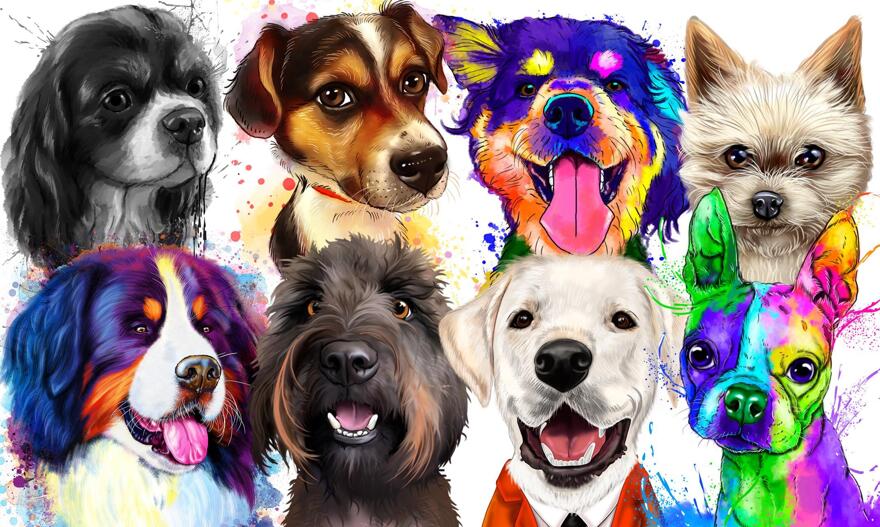 Hundekarikaturen und Portraits