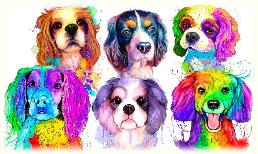 Spaniel karikatyr