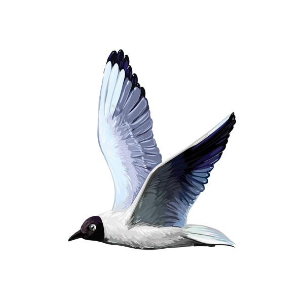 Brugerdefineret Relict Gull Bird Digital Portræt i farvestil