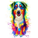Full Body Border Collie Bright Watercolor Portrait Painting from Photos
