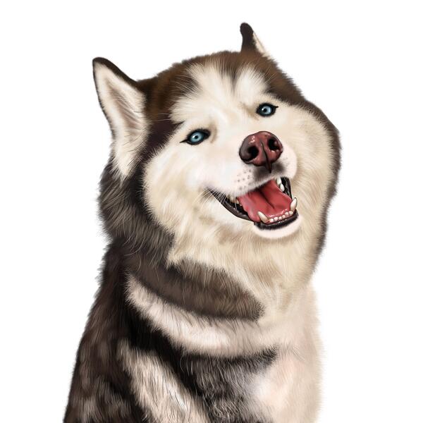 Husky karikatuur