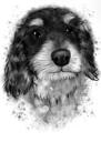 Peinture de portrait de chien au graphite