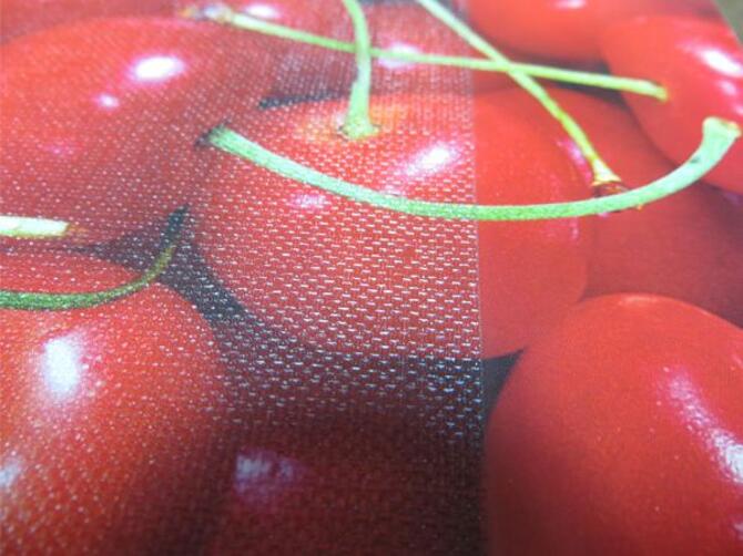 Canvas lamination vs no lamination