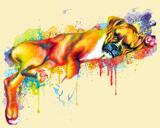 Full Body Boxer Hondenkarikatuurportret in aquarelstijl met gekleurde achtergrond