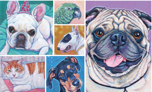 Pet Portraits by Bethany:-0