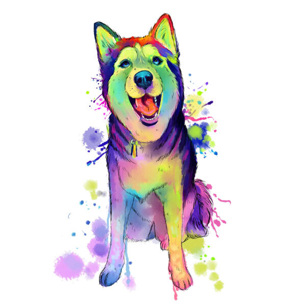 Husky koera akvarelljoonistus kogu kehaga