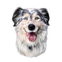 Australian Shepherd Caricature