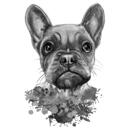 Franse Bulldog karikatuur portret cartoon in hoofd en schouders zwart lood aquarel stijl