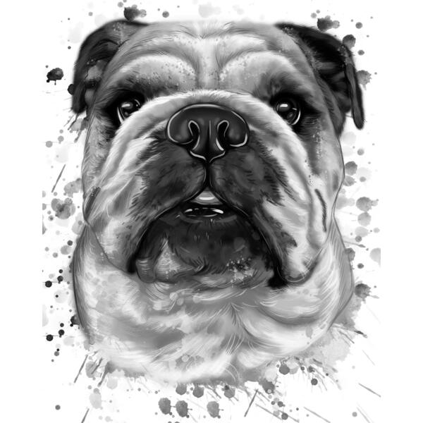 Retrato de grafito de Bulldogs en estilo acuarela de cabeza y hombros de fotos