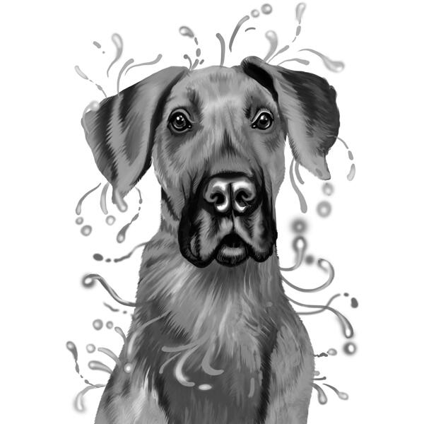 Head and Shoulders Great Dane Portrait in Grayscale Watercolor Style