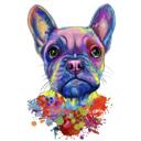 Fransk bulldog portræt Pastel akvarel