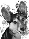 Grayscale Watercolor Style Corgi Portrait of Your Pet from Photo