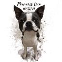 Söpö ranskanbulldoggi luonnollinen akvarellimuotokuva valokuvasta värillisellä taustalla