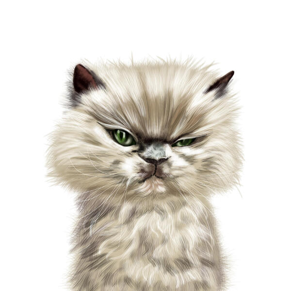Remarquable dessin animé de portrait de chat à partir de photos dans un style de couleur