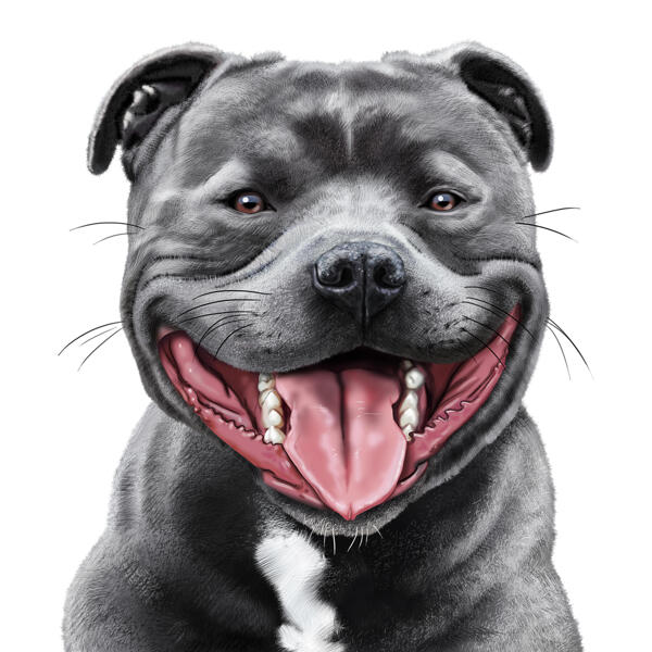 Custom Dog Portrait