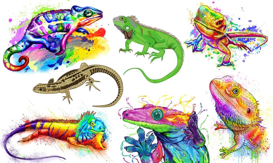 Dibujos animados de reptiles