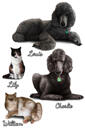 Ассорти домашних животных Мультфильм из фотографий в цветном цифровом стиле