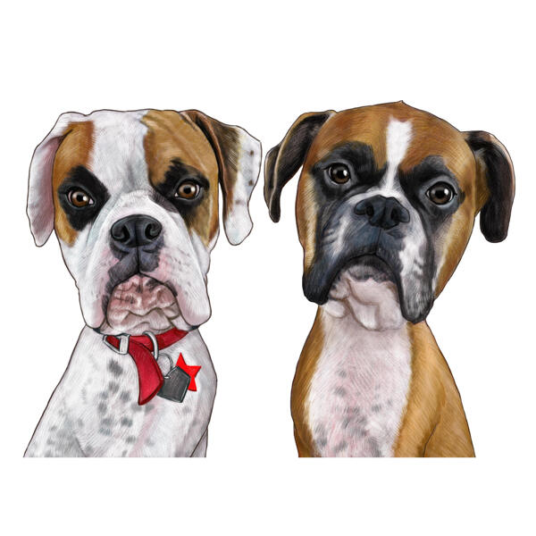 Paar Bulldoggen-Karikaturen im farbigen Stil aus Fotos gezeichnet