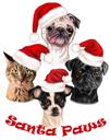 Kerst Huisdieren Groepskarikatuur