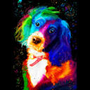 Spaniel Portrait from Photo in Watercolor Style with Splashes on Black Background