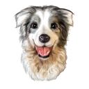 Australian Shepherd Caricature