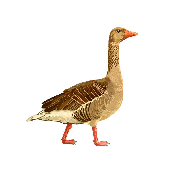 Custom Goose Colored Cartoon Caricature from Photo