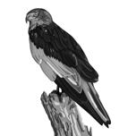 Portrait d'oiseau en noir et blanc