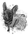 Celotělový černobílý grafitový portrét čivavy z fotografií