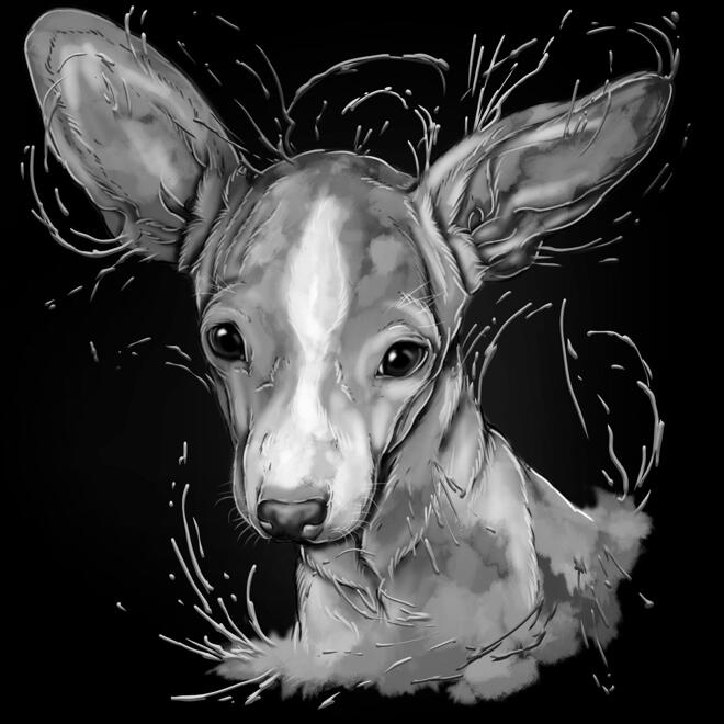 Gråskala akvarelhundportræt fra foto på sort baggrund
