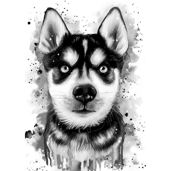 Portrait de husky graphite
