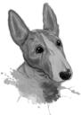 Akvarellgrafit miniatyr Bull Terrier porträtt skiss från foton