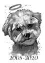 Rip Angel - Porträt eines Hundeverlusts