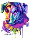 Retrato de cachorro arco-íris com anos de vida
