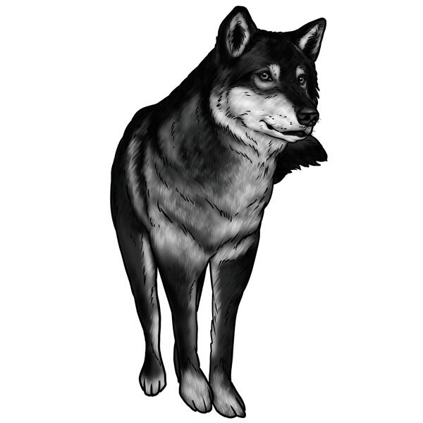 Portrait de loup en noir et blanc