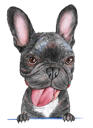 Fransk bulldog karikaturportræt fra fotos i farvestil til kæledyrselskere gave