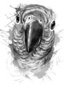 Retrato de caricatura de pássaro em escala de cinza em estilo aquarela da foto