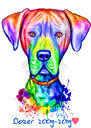 Ritratto di cane arcobaleno con anni di vita